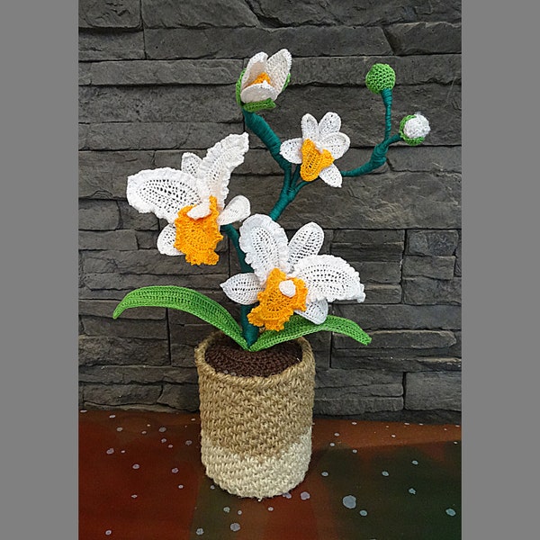 Fleurs Orchidées Cattleya par babyagecreations