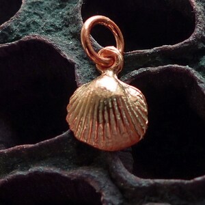 925 Silver shell charm,shell charm 925 Silver gold plated,mini pendant shell rosegold, image 8