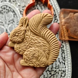 May include: A detailed brown squirrel mold for making soap or other crafts. The mold is made of a flexible silicone material and features a realistic squirrel design.