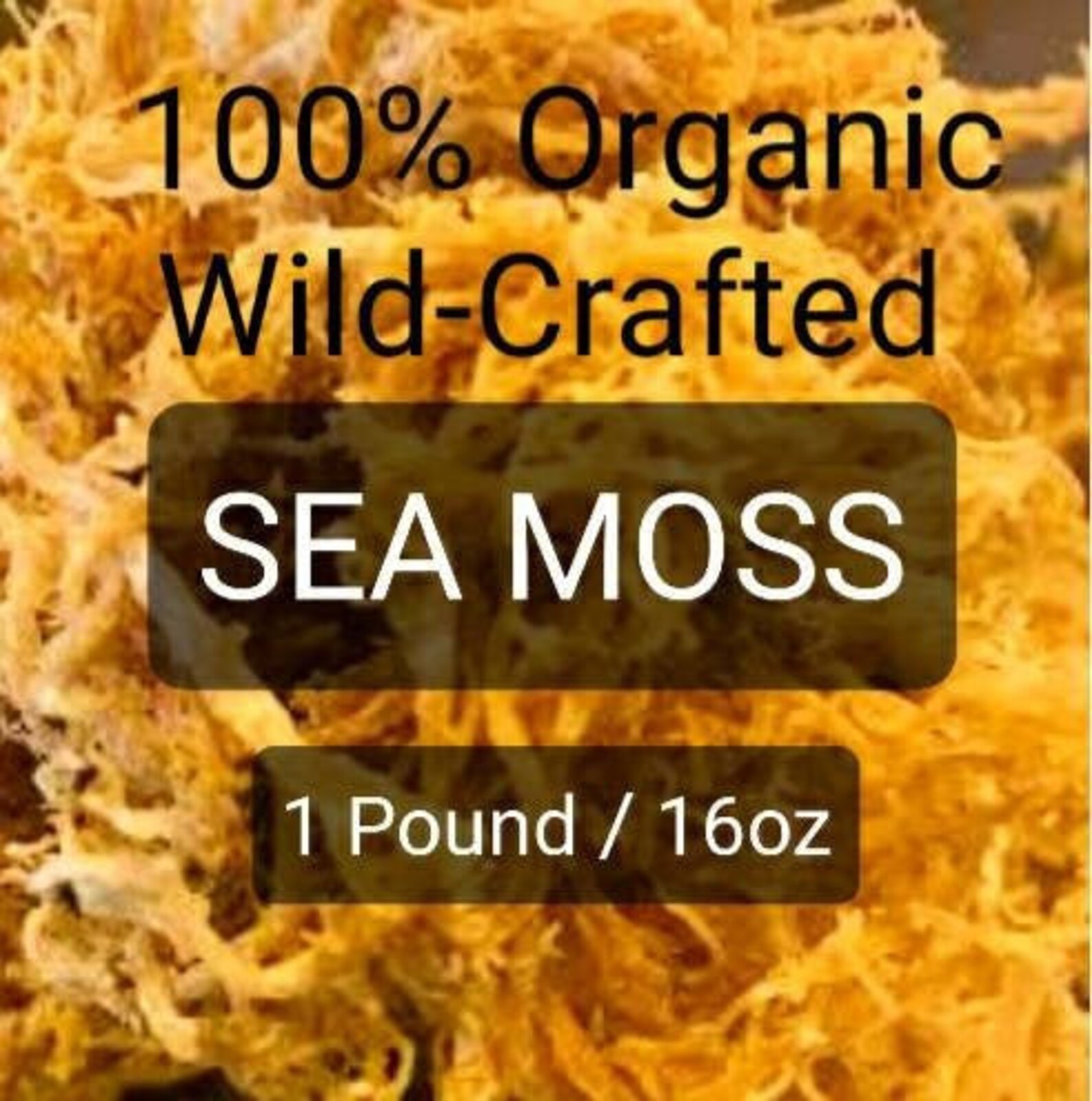 Dried Sea Moss 1 Pound Etsy