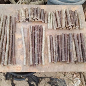 May include: A collection of numerous cylindrical wooden sticks arranged in several distinct groups on a flat surface. The sticks vary in length and thickness, featuring natural brown and grey bark textures with visible wood grain on the cut ends.