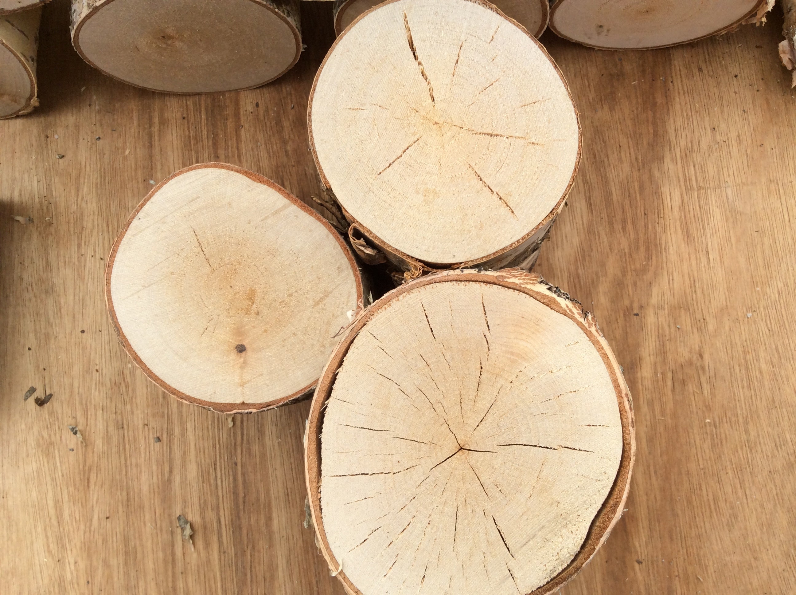 Budget fireplace display logs birch hardwood. Etsy