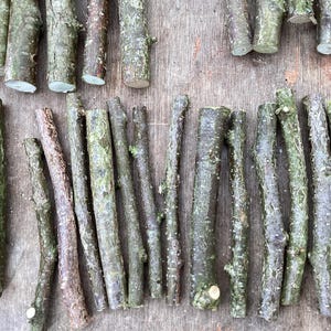 May include: A selection of natural wooden sticks, showing a variety of lengths and thicknesses. The bark is textured, with colours of brown, green, and grey. Some sticks are cut at the ends, revealing the lighter wood. The sticks are arranged on a wooden surface.