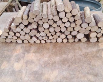 100 small Mixed logs & sticks 1-2cm in diameter