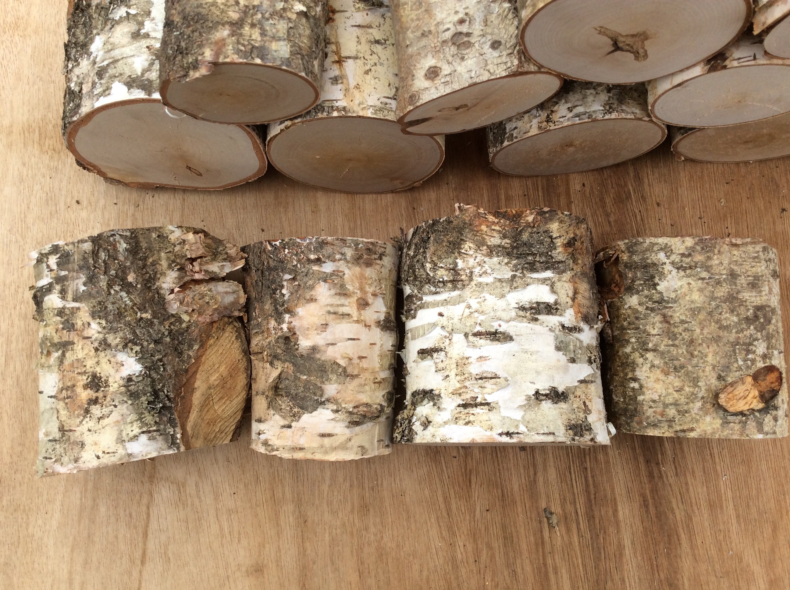 Budget fireplace display logs birch hardwood. Etsy