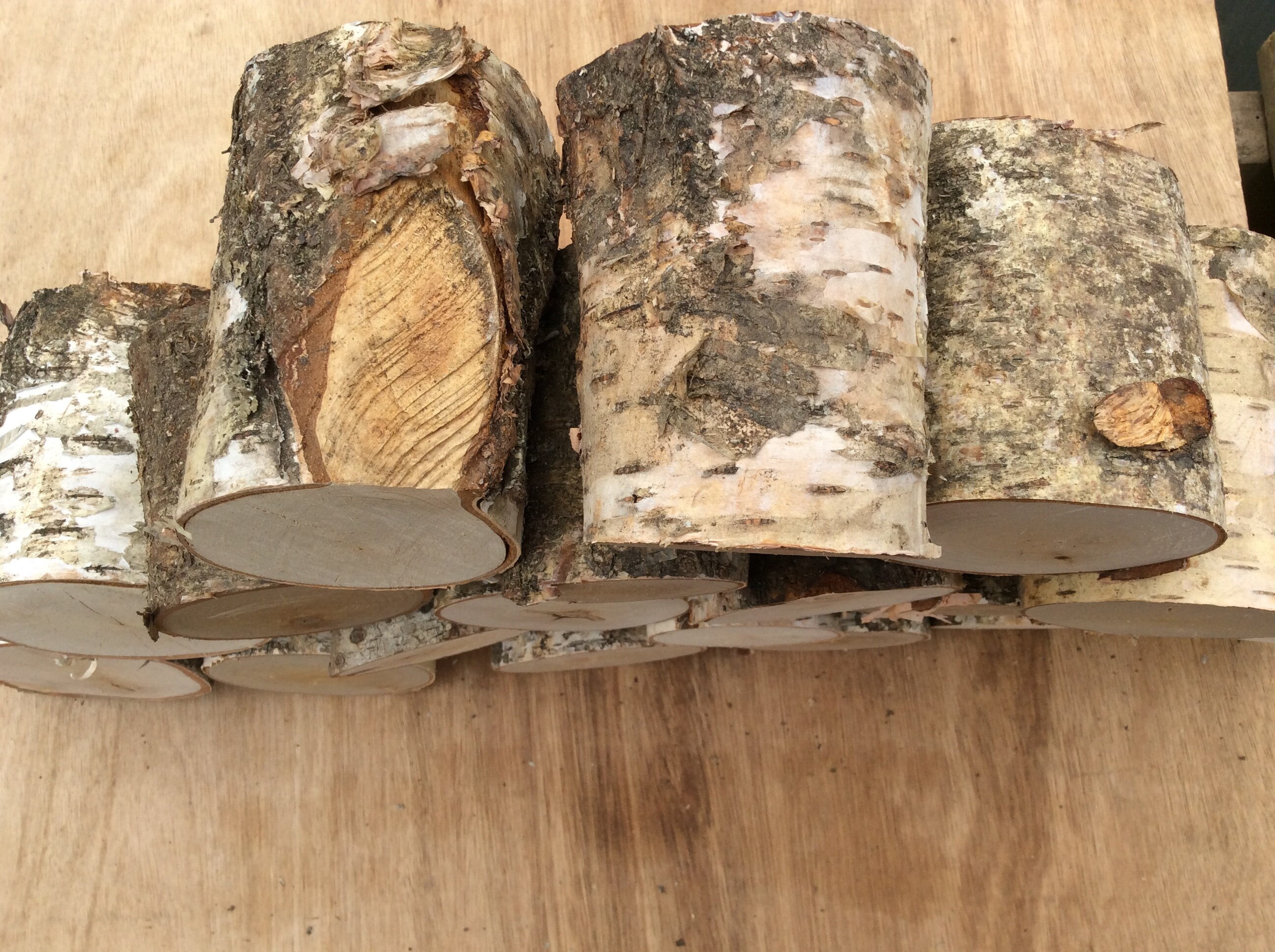 Budget fireplace display logs birch hardwood. Etsy