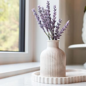 May include: A cream-coloured, ribbed vase holds a bundle of lavender stems. The vase sits on a matching scalloped tray. The arrangement is placed on a white countertop near a window, creating a serene, minimalist aesthetic.