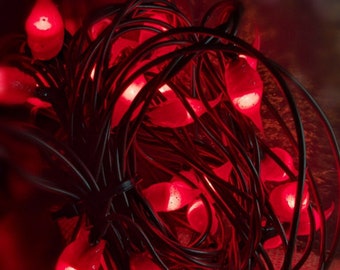 Teeny Incandescent String Light 50 Count Burnt Red Handmade