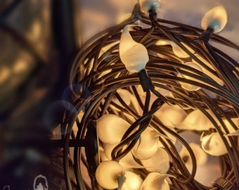 Teeny Incandescent String Light 20 Count Farmhouse White Handmade