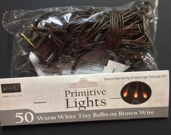 Teeny Incandescent String Light 50 Count Clear