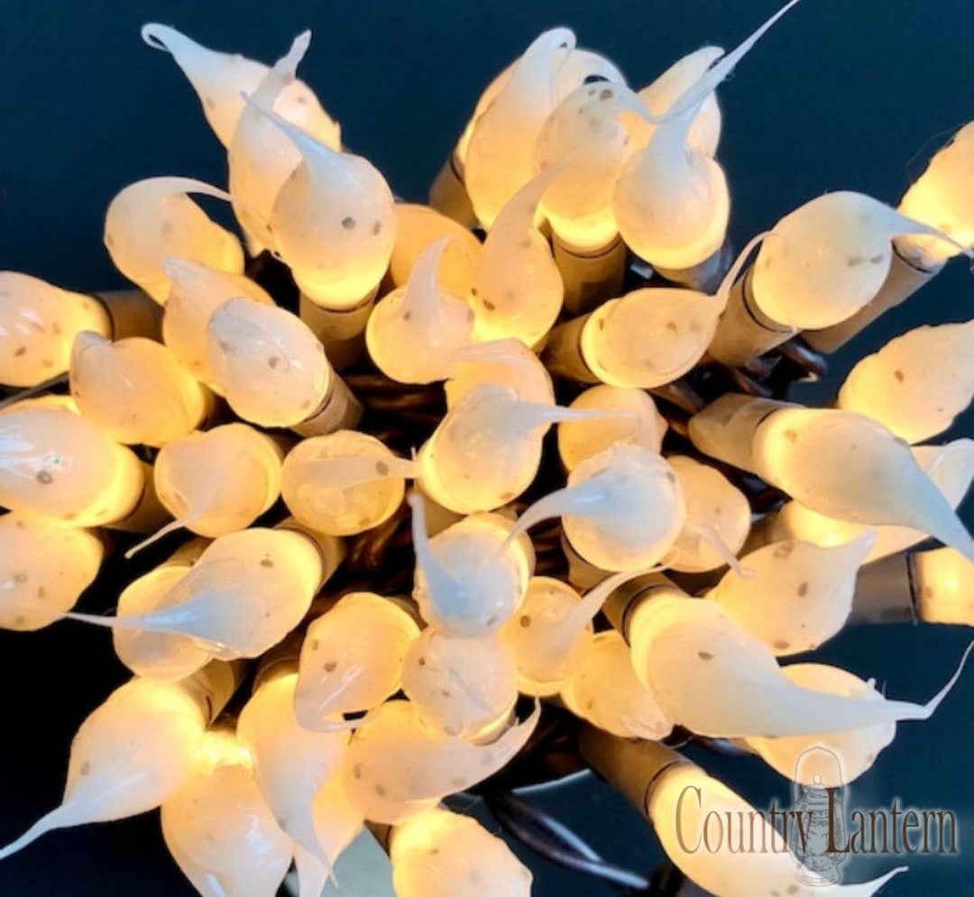 EVERYDAY COLLECTION 35 Ct. Mini Light Strands - Etsy