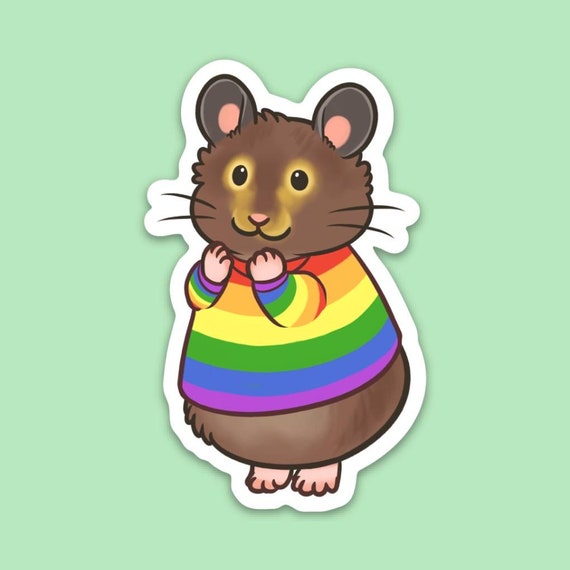 rainbow hamster
