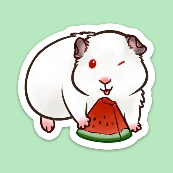 Blanche Loves Watermelon Large Guinea Pig Magnet