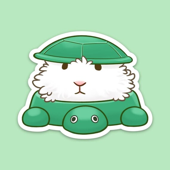 turtle sandpit australia