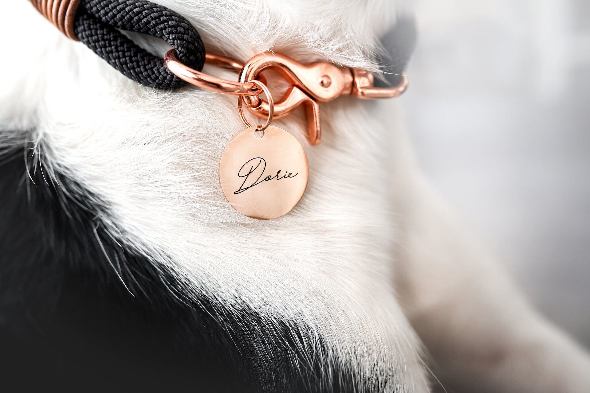 Lieblingspfote Personalisierte Hundemarke RUND mit Gravur Etsy.de
