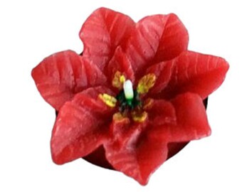 Tealight poinsettia, motif tealight