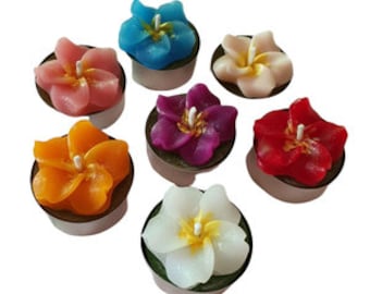 Hawaiiblume Plumeria - Handgefertigte, einzigartige Sammlerkerze für Tischdekorationen, Geschenke und Mitbringsel für besondere Anlässe