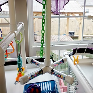 Infinity Swing, Birds, Parrots, Monkey,Reptile stand, Reptiles, Snakes, #70