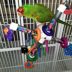 Parrot \ Bird Cage \ Spinning Toy #64