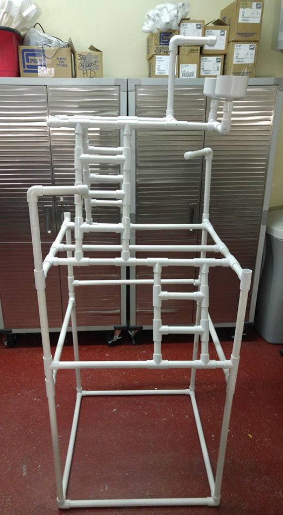 parrot play gym australia