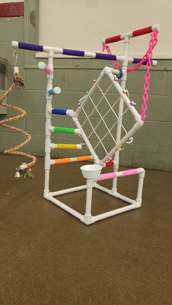bird stand