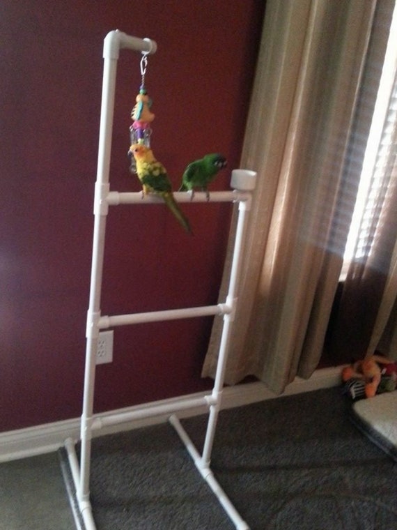 parrot play gym australia