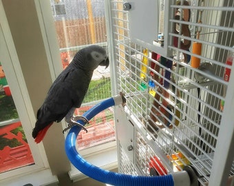 FlexiPerch&quot; Parrot Cage mounted FUN! #65