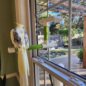 Fenster- und Duschstange für kleine bis mittlere Vögel. w 3 Saugnäpfe 1/2&quot;oder 3/4&quot; PVC strukturiert