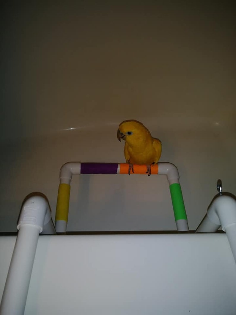3/4 PVC Travel Bath & Shower Parrot Perch With Treat Etsy