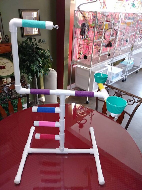 stand up play gym