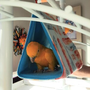 Picture Idea: The Play Station 2 Fun Parrot Toy Tent Tube Swing