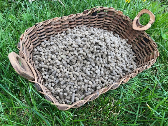 grünkorn dünger kaufen Purgrün Dünger-Set 2 x 1 Liter