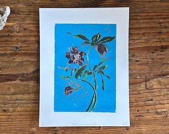 Hand-printed linocut – Helleborus orientalis | Botanical art print | Garden illustration