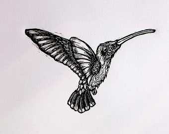 Colibrí