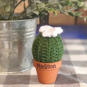 Crocheted Cactus in a Pot, Cactus, Cacti decor Hunter Green