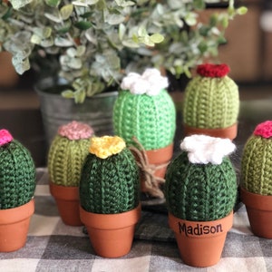 Crocheted Cactus in a Pot, Cactus, Cacti decor image 8