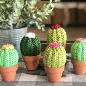 Crocheted Cactus in a Pot, Cactus, Cacti decor image 9