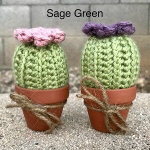 Crocheted Cactus in a Pot, Cactus, Cacti decor Sage Green