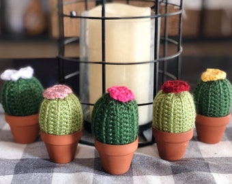 Crocheted Cactus in a Pot, Cactus, Cacti decor