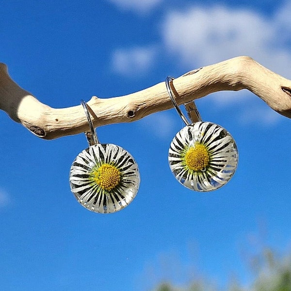 Ohrringe ~ Echte Blüten Gänseblümchen ~ Silber Ohrhänger, Ohrringe Blumen, Geschenk für Frauen, handgemachter Schmuck, Blumen Ohrringe