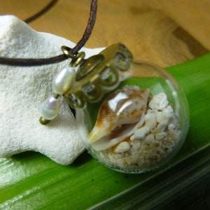 Muschelkette Strand & Meer Naturschmuck, Perlenkette, handgefertigter Schmuck, Urlaubsfeeling, Geschenk, sommerelf Bild 2