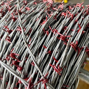 May include: Close-up of a roll of barbed wire with red barbs. The wire is coiled and the barbs are visible.