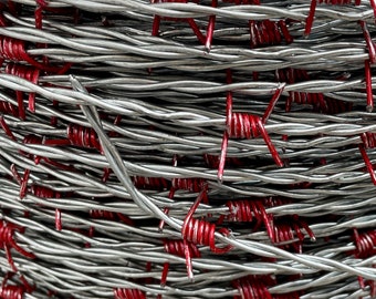 Metal fence wire with red barbs