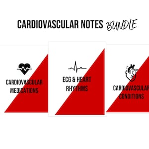 Cardiovascular Notes Bundle