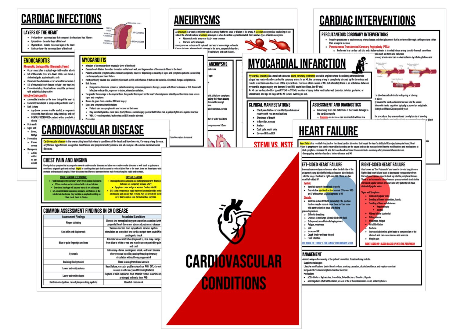 Cardiovascular Disorders Notes - Etsy