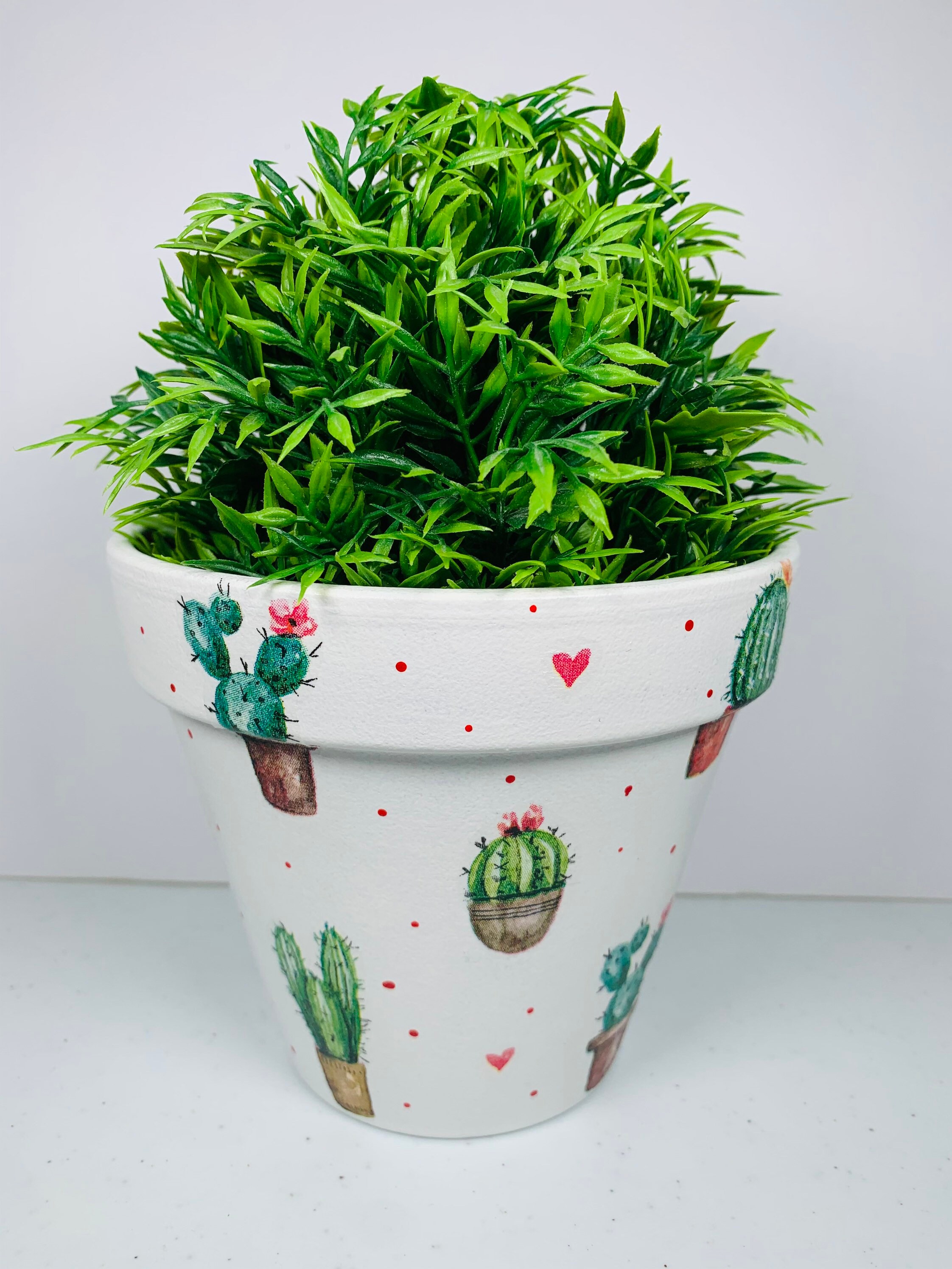 Decoupaged Terracotta Plant Pot Mini Cactuses Design Home Etsy