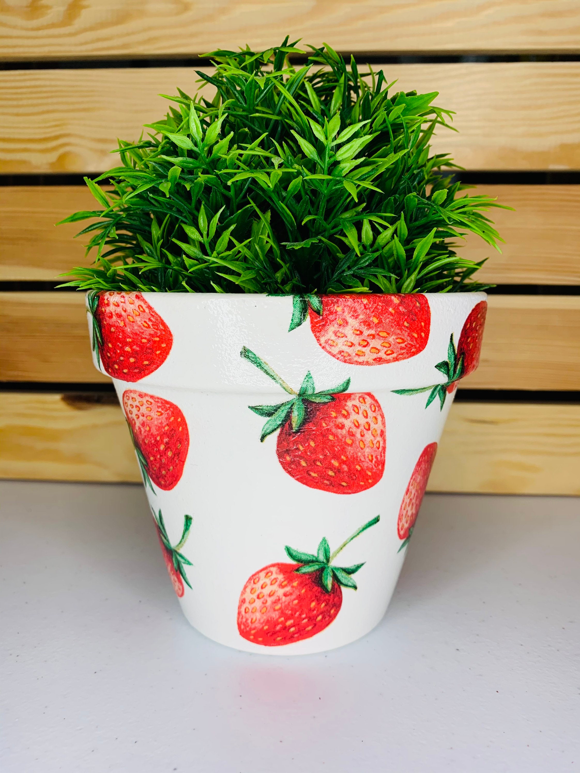Decoupaged Terracotta Plant Pot Vibrant Red Strawberries Etsy UK