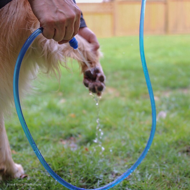 Portable Dog Shower and Dog Grooming System Etsy
