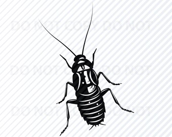 Download Roach Svg Etsy