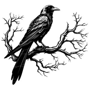 Raven on Tree Branch Svg & PNG Files, Halloween Raven Clipart Silhouette Vector Image, Bird SVG For T shirt Design Transparent Background